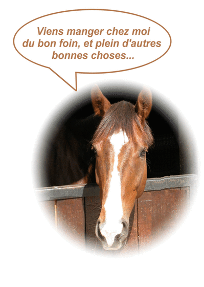 Viens chez moi manger du foin